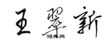 駱恆光王翠新行書個性簽名怎么寫