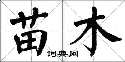 翁闓運苗木楷書怎么寫