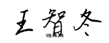 王正良王智冬行書個性簽名怎么寫