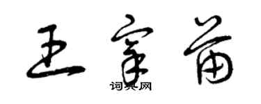 曾慶福王宰苗草書個性簽名怎么寫