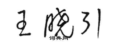 駱恆光王曉引草書個性簽名怎么寫