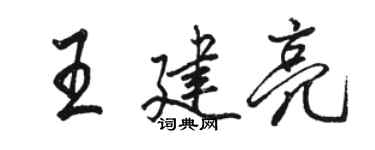 駱恆光王建亮行書個性簽名怎么寫