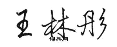 駱恆光王林彤行書個性簽名怎么寫