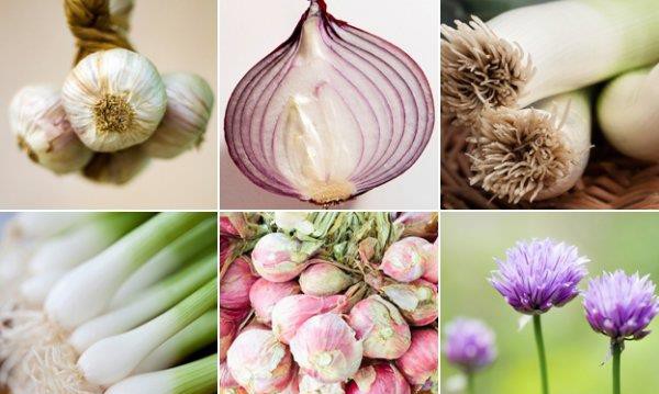 張邦昌簡介 無能為力的偽皇帝