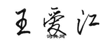 駱恆光王愛江行書個性簽名怎么寫