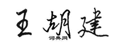 駱恆光王胡建行書個性簽名怎么寫