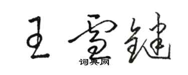 駱恆光王雪鍵草書個性簽名怎么寫