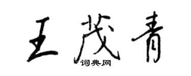 王正良王茂青行書個性簽名怎么寫