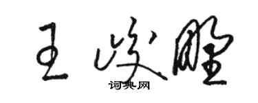 駱恆光王峻野草書個性簽名怎么寫