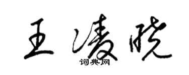 梁錦英王凌曉草書個性簽名怎么寫