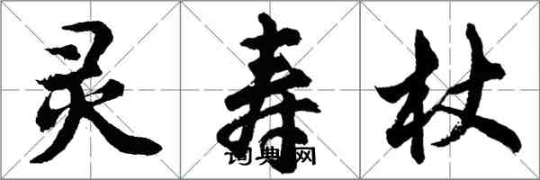 胡問遂靈壽杖行書怎么寫