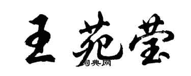 胡問遂王苑瑩行書個性簽名怎么寫