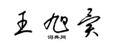 梁錦英王旭異草書個性簽名怎么寫