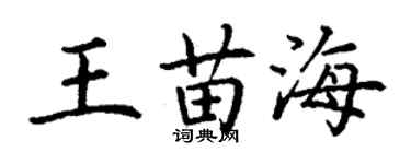 丁謙王苗海楷書個性簽名怎么寫