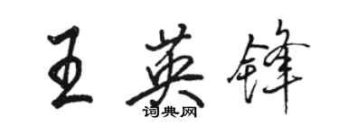 駱恆光王英鋒行書個性簽名怎么寫