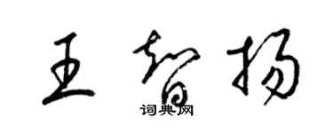 梁錦英王智揚草書個性簽名怎么寫