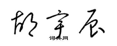 梁錦英胡宇辰草書個性簽名怎么寫