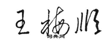 駱恆光王梅順草書個性簽名怎么寫