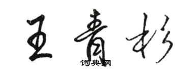 駱恆光王青杉行書個性簽名怎么寫