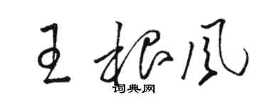 駱恆光王根風草書個性簽名怎么寫