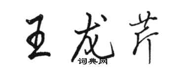駱恆光王龍芹行書個性簽名怎么寫