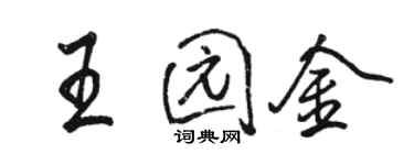 駱恆光王園金行書個性簽名怎么寫