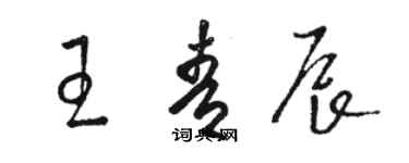 駱恆光王青辰草書個性簽名怎么寫