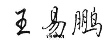 駱恆光王易鵬行書個性簽名怎么寫