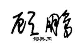 朱錫榮顧鵬草書個性簽名怎么寫