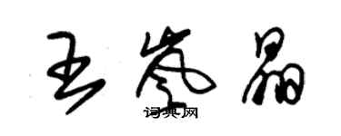 朱錫榮王嵐晶草書個性簽名怎么寫