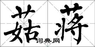 翁闓運菇蔣楷書怎么寫