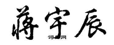胡問遂蔣宇辰行書個性簽名怎么寫