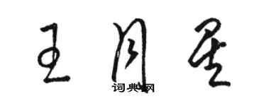 駱恆光王月星草書個性簽名怎么寫