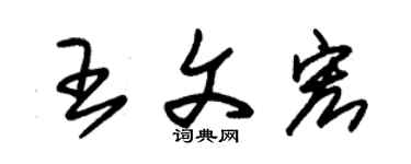朱錫榮王文宏草書個性簽名怎么寫