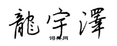 王正良龍宇澤行書個性簽名怎么寫