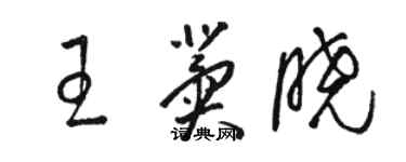 駱恆光王冀曉草書個性簽名怎么寫