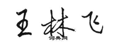 駱恆光王林飛行書個性簽名怎么寫