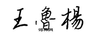 王正良王魯楊行書個性簽名怎么寫