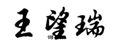 胡問遂王望瑞行書個性簽名怎么寫