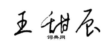 梁錦英王甜辰草書個性簽名怎么寫