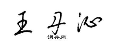 梁錦英王丹沁草書個性簽名怎么寫