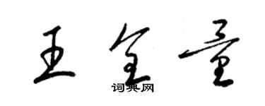 梁錦英王全量草書個性簽名怎么寫