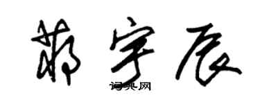 朱錫榮蔣宇辰草書個性簽名怎么寫