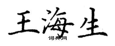 丁謙王海生楷書個性簽名怎么寫