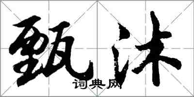 胡問遂甄沐行書怎么寫