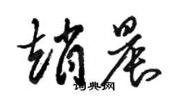 駱恆光趙晨草書個性簽名怎么寫