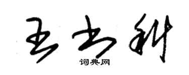 朱錫榮王書科草書個性簽名怎么寫