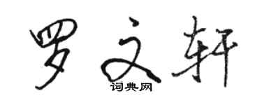 駱恆光羅文軒行書個性簽名怎么寫