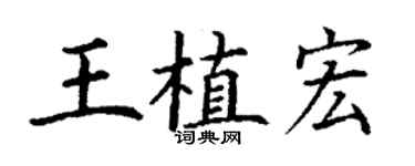 丁謙王植宏楷書個性簽名怎么寫