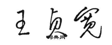 駱恆光王貞寬草書個性簽名怎么寫